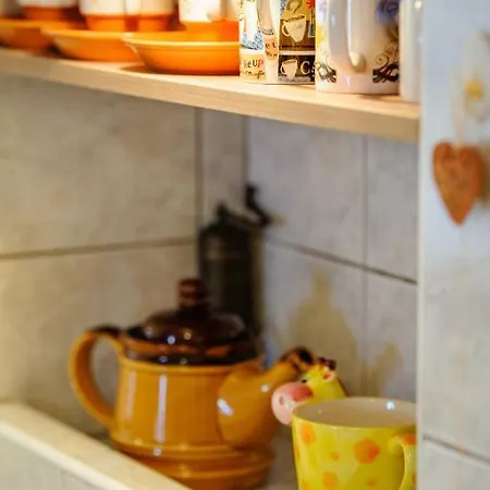 Kovacic_grubisic * Сплит